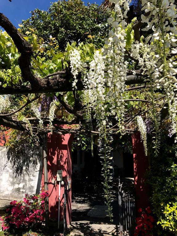 Casamariuccia Konuk evi Massino Visconti Dış mekan fotoğraf
